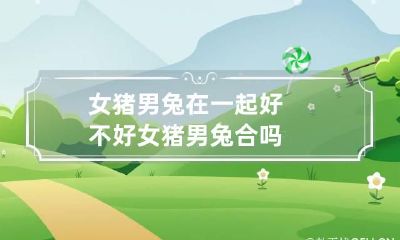 女猪男兔在一起好不好 女猪男兔合吗