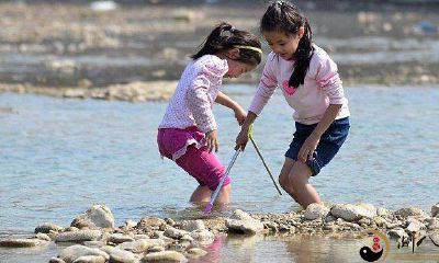 梦到捞到很多鱼