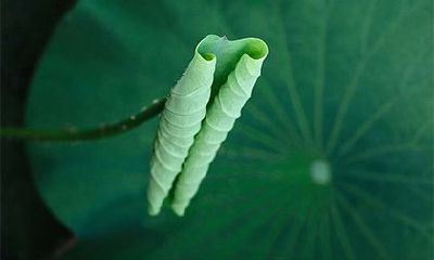 2022年农历四月黄道吉日查询