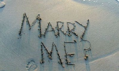 2019下半年，爱情不请自来，适合结婚的生肖