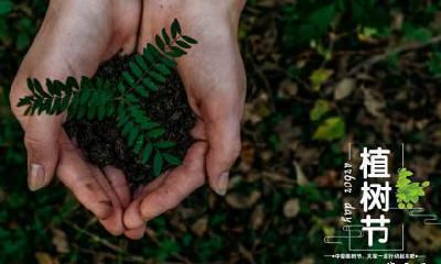 植树节种树的好处有哪些？适合种什么树？