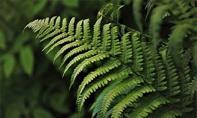 2022年每月五行属什么？不同月份的五行属性介绍！