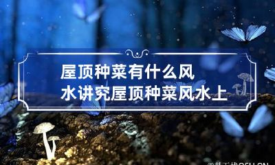 屋顶种菜有什么风水讲究 屋顶种菜风水上有什么讲究