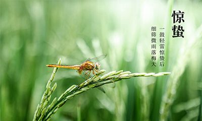 2022年惊蛰是几月几号？惊蛰节气的来历