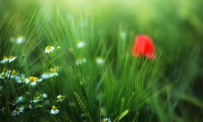 2020年中秋国庆节出生的男孩起名，五行缺水的好名字大全