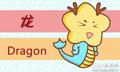 属龙女对自己的定位是什么