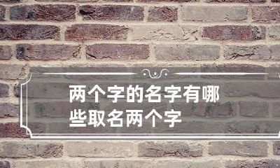 两个字的名字有哪些 取名两个字