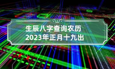 生辰八字查询:农历2023年正月十九出生八字是什么
