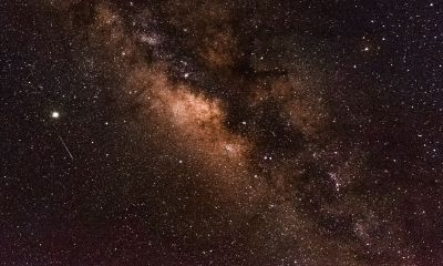 2022年生肖兔会遭遇什么吉星和凶星，要注意些什么？