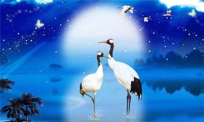 梦见一网捞了好多鱼