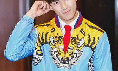 2017吴姓男孩取名大全