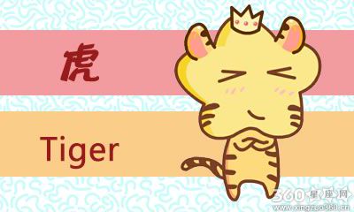 属虎人对于未来有什么规划