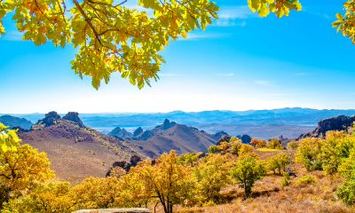 2017年程姓鸡宝宝起名方法