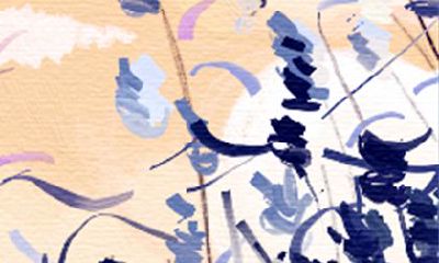 属虎的女人今年财运怎么样？