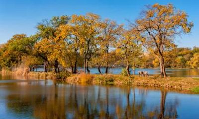 生肖属牛的人立秋出生好不好？命运如何