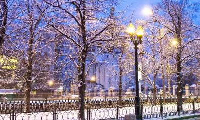 2019猪年正月大年初一五行缺木女孩起名大全