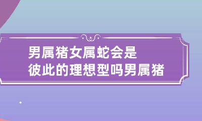 男属猪女属蛇会是彼此的理想型吗 男属猪,女属蛇