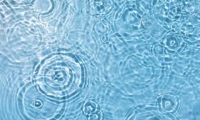 2021年农历二月十一日出生女宝宝五行缺水温柔文雅名字