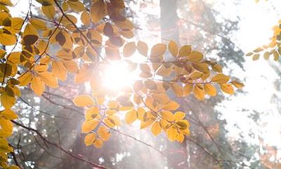 2020年六一儿童节出生男孩阳光大气的缺土名字