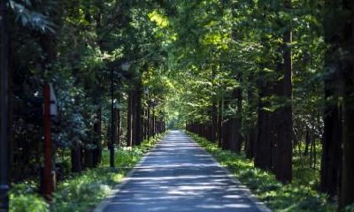 2020年母亲节出生五行缺火男孩名字大全