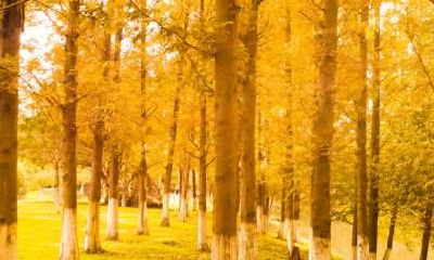 立秋过后要注意什么？吃什么比较好？