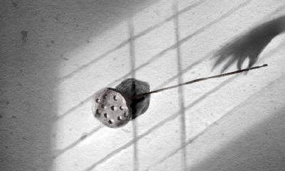 如果属鼠的人误入传销组织会如何逃脱