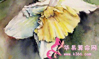 属虎的人怎么应对职场？