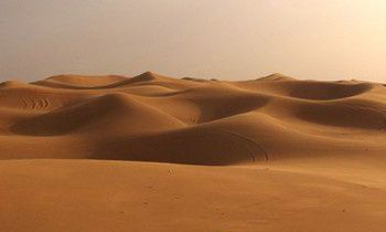 属虎的人最致命的缺点是什么