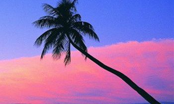 属虎的人有哪些优点和缺点？