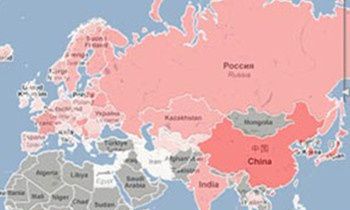 属虎的人智商怎么样？