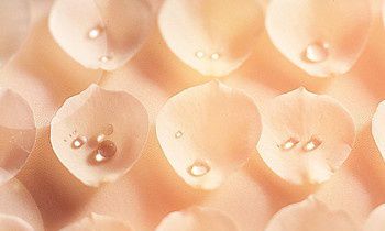 属虎的人最真实的谎言是什么