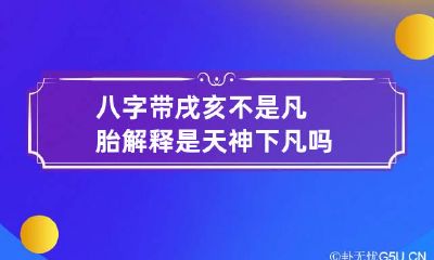 八字带戌亥不是凡胎解释 是天神下凡吗