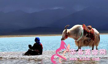 属虎的人在西游记中的代表人物有谁