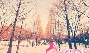 属虎人在职场上有哪些必胜原则