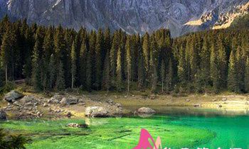 属虎人应注意哪些养生