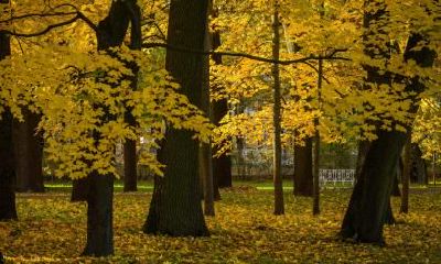 立秋是固定的日子吗？每年立秋是不是日子都一样？