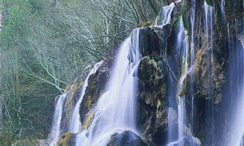 属虎人生气后有什么样的后果