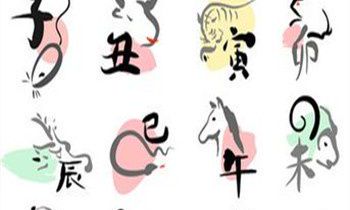 属虎的适合什么工作