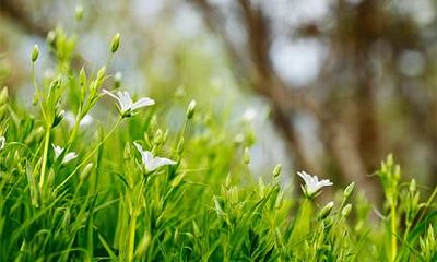 2020年农历十月初五出生五行属木男孩怎么起名？