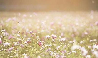 2020年农历十月初六五行缺木女孩起名