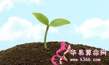 属虎人最致命的缺点是什么