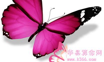 属虎最让人反感的特点是什么