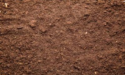 怎么为2019年春节出生五行缺火的女孩取名？