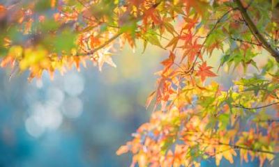 2019年立秋可以搬家吗？搬家又有哪些忌讳？