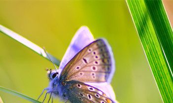 属虎最无法释怀的事是什么