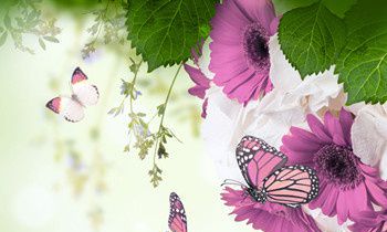 属虎人如何摆脱失恋阴影