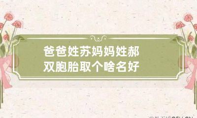 爸爸姓苏妈妈姓郝双胞胎取个啥名好