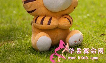 属虎人2016年下半年开运指南