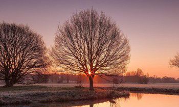 属虎人看恐怖片有哪些反应