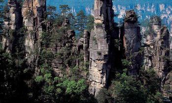 属虎的男人在情人节会准备什么样的奇葩礼物